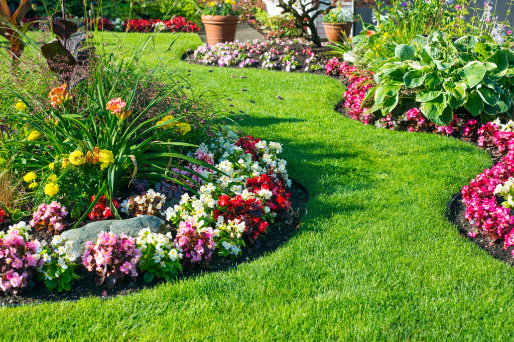 Lawn Care In Leeds