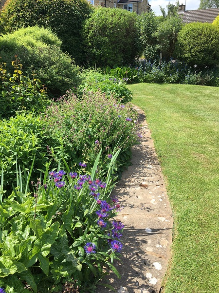 Raevallyne Horticultural Ltd
